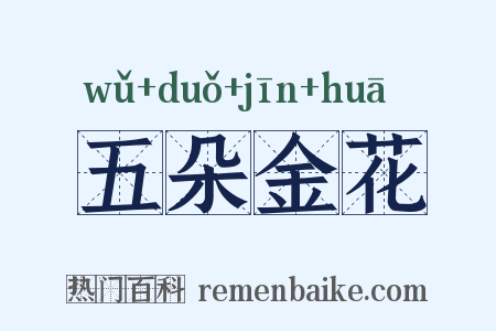 五朵金花是什么意思的图片